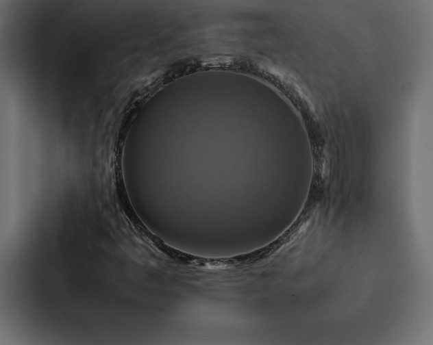 X0000088231445200705151443