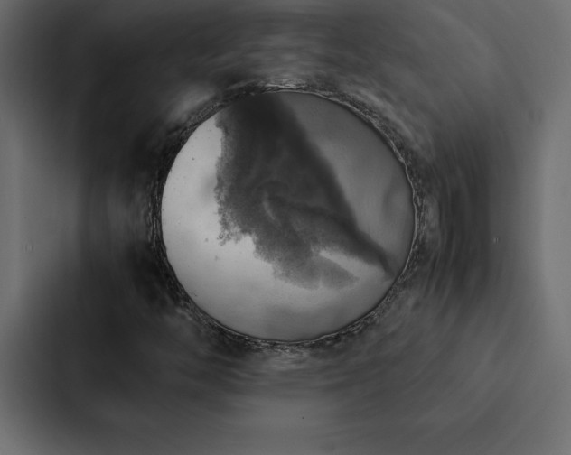 X0000088231446200705151443
