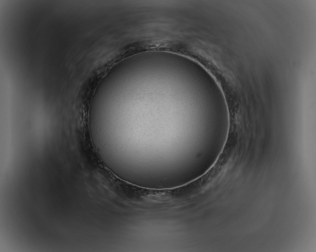 X0000088231447200705151443