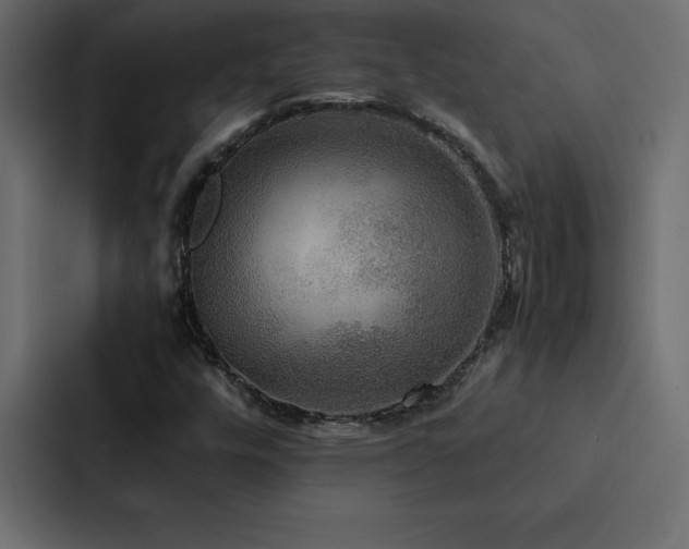 X0000088231448200705151443