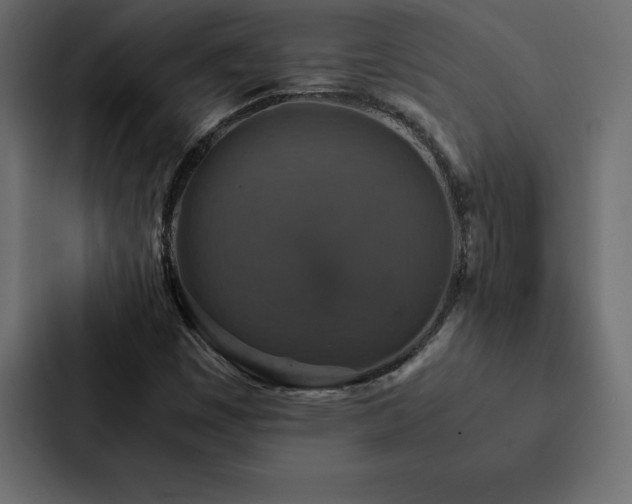 X0000088231449200705151443