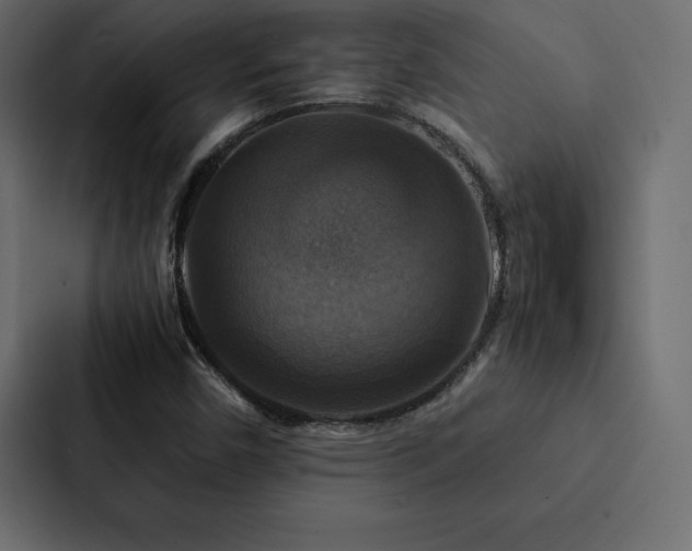 X0000088231450200705151443