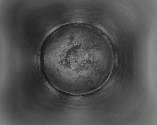X0000088231452200705151443