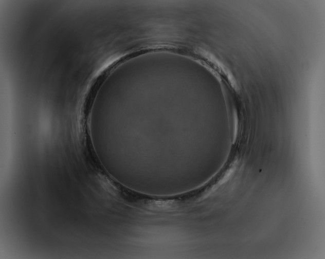 X0000088231453200705151443