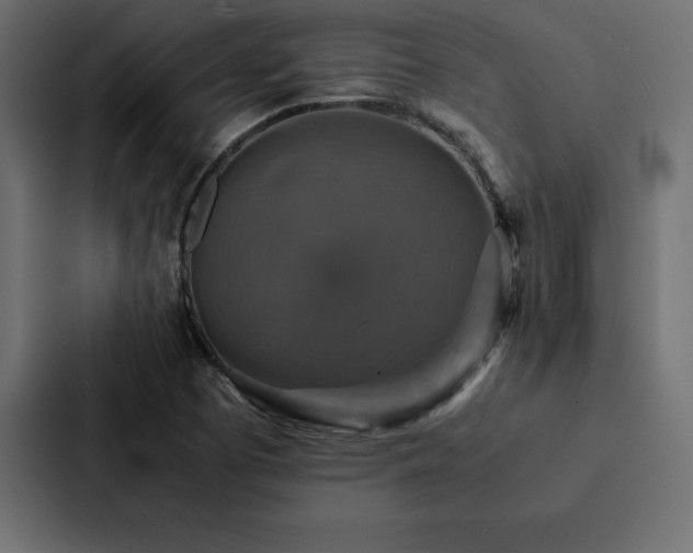 X0000088231457200705151443