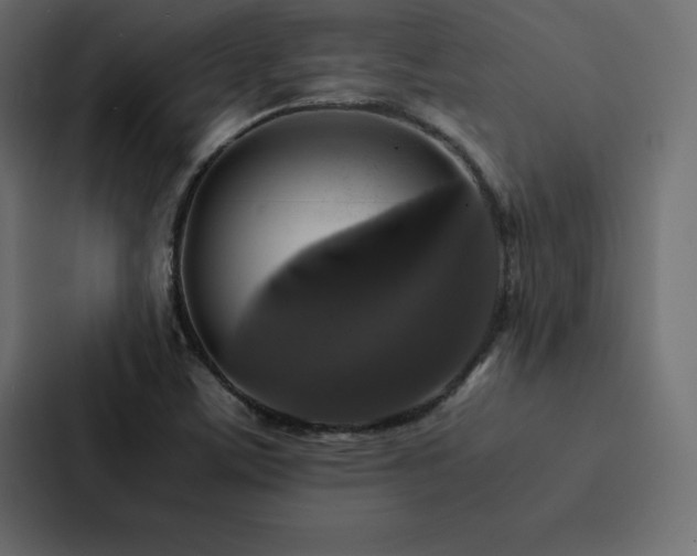 X0000088231459200705151443