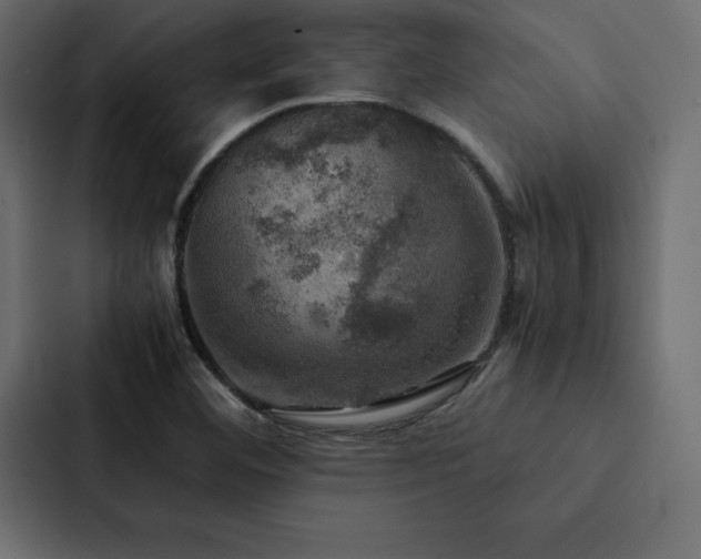 X0000088231460200705151443