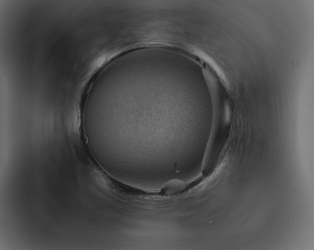 X0000088231461200705151443