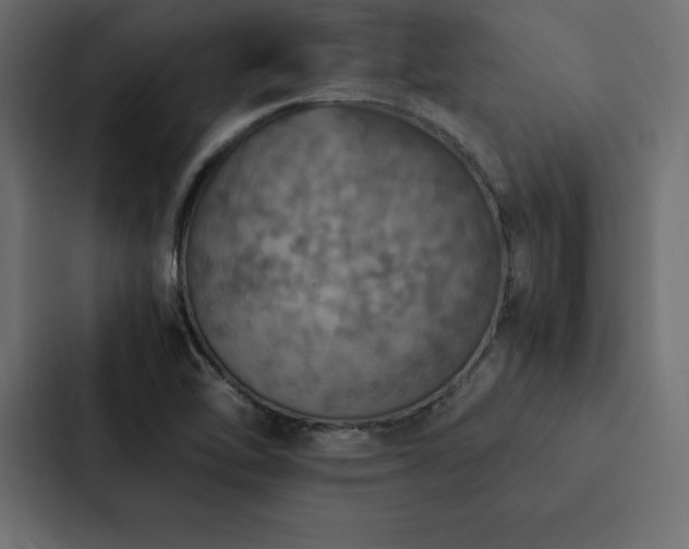 X0000088231462200705151443