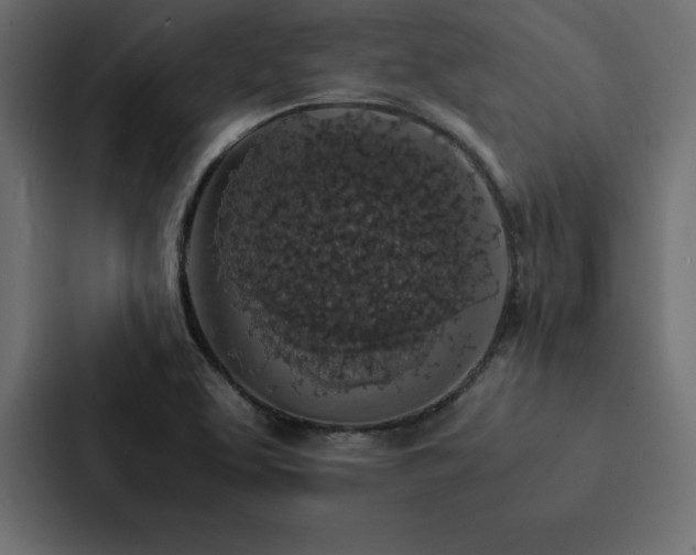 X0000088231463200705151443