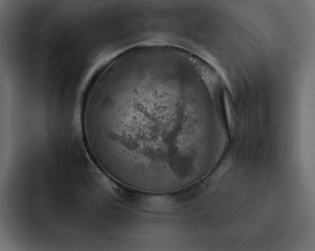 X0000088231464200705151443