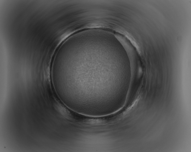 X0000088231465200705151443