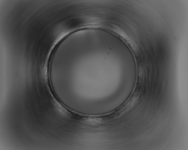 X0000088231466200705151443