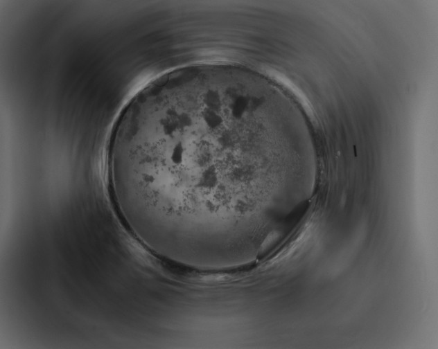 X0000088231467200705151443