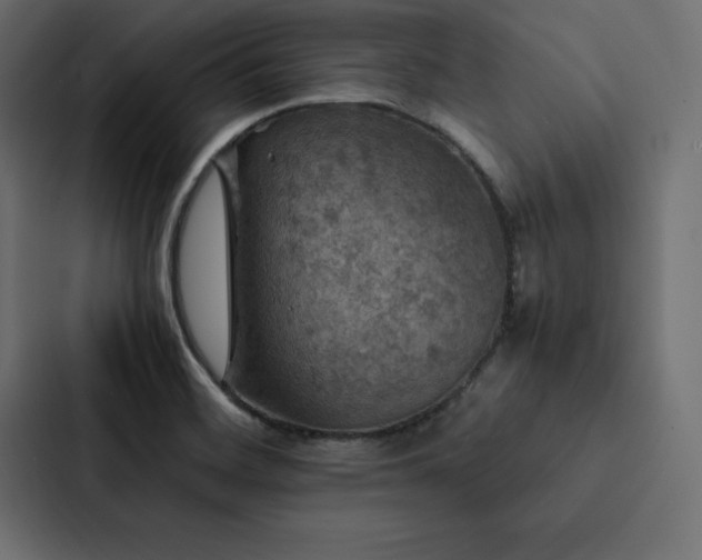 X0000088231468200705151443