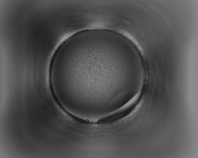 X0000088231469200705151443