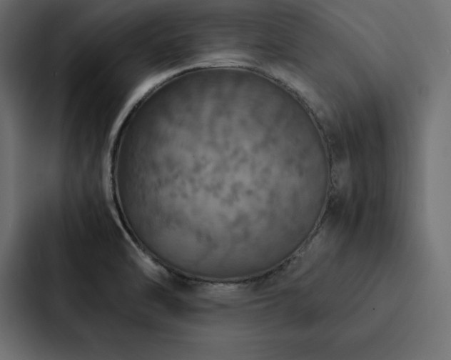X0000088231470200705151443