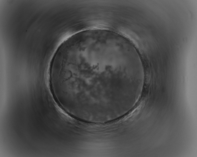 X0000088231471200705151443