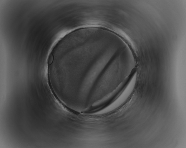 X0000088231472200705151443