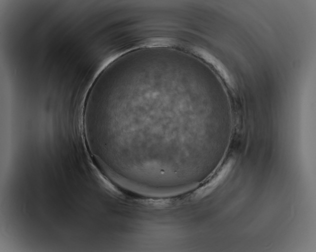 X0000088231473200705151443