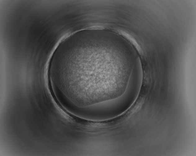 X0000088231475200705151443