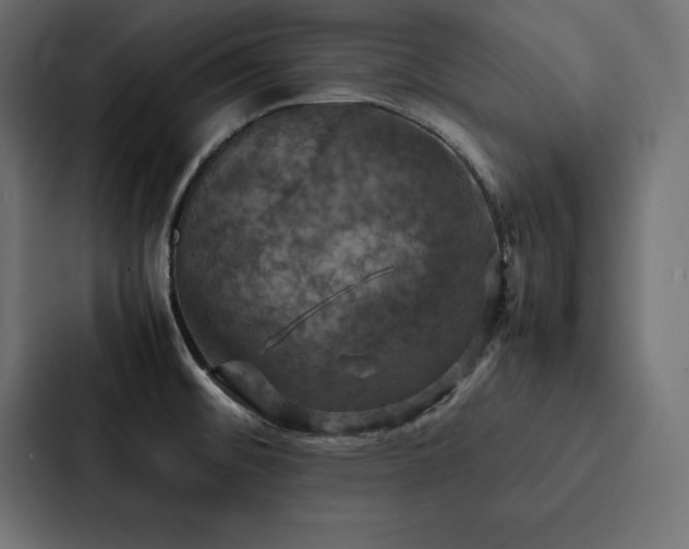 X0000088231476200705151443