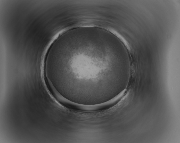 X0000088231477200705151443