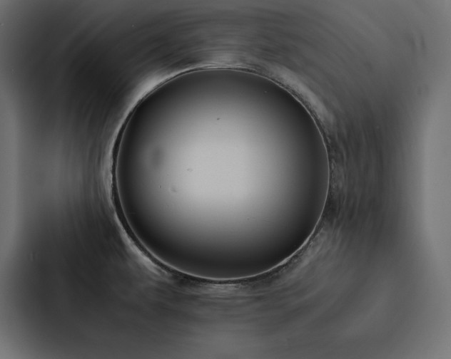 X0000088231479200705151443
