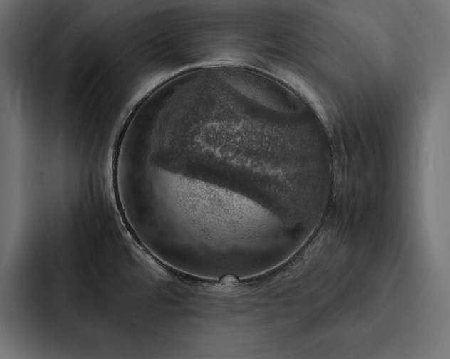 X0000088231480200705151443