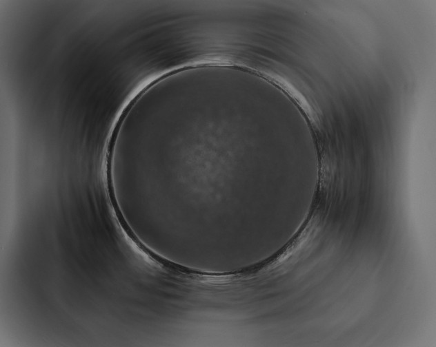 X0000088231484200705151443