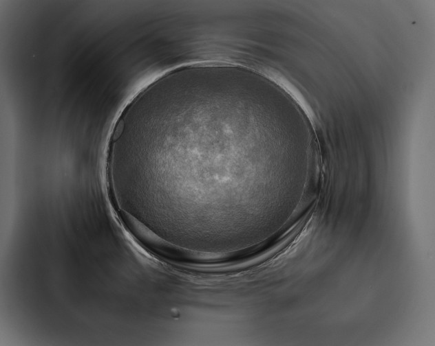 X0000088231485200705151443
