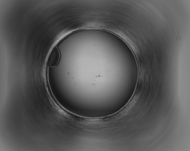 X0000088231486200705151443