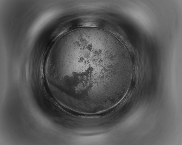 X0000088231487200705151443