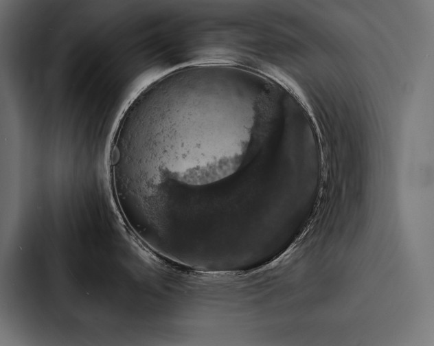 X0000088231488200705151443