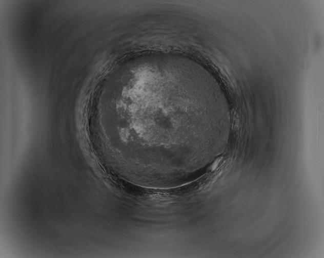 X0000088231489200705151442