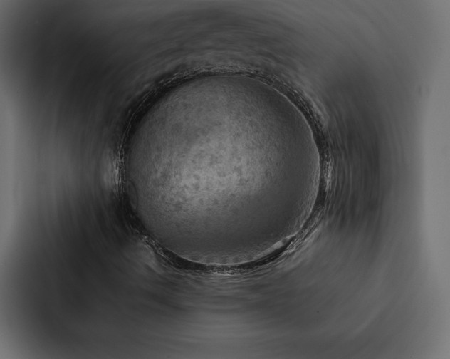 X0000088231490200705151442