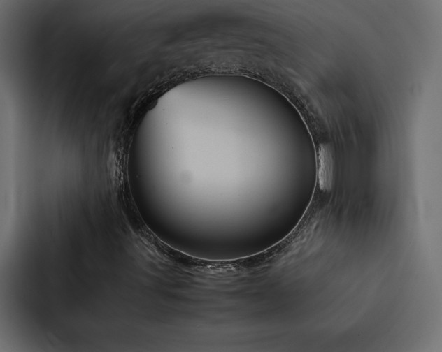 X0000088231491200705151442
