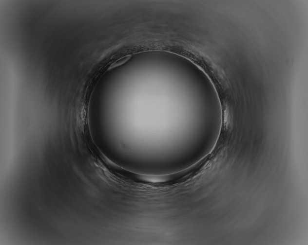 X0000088231492200705151442