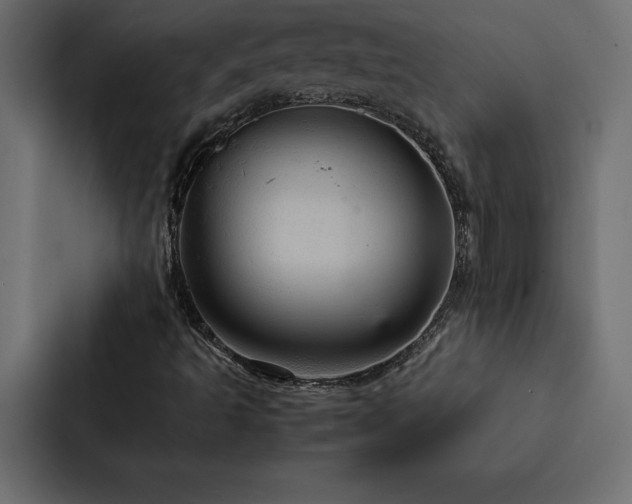 X0000088231493200705151442