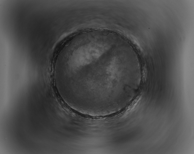 X0000088231494200705151442