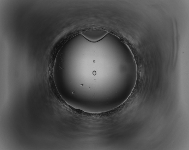 X0000088231495200705151442