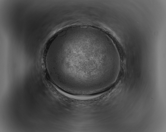 X0000088231496200705151442