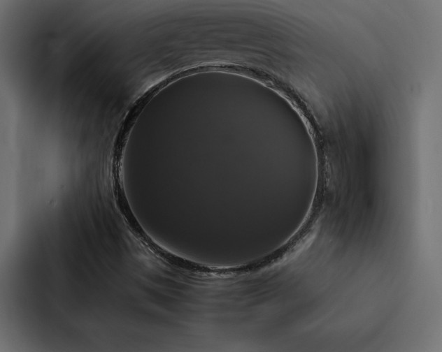 X0000088231497200705151442