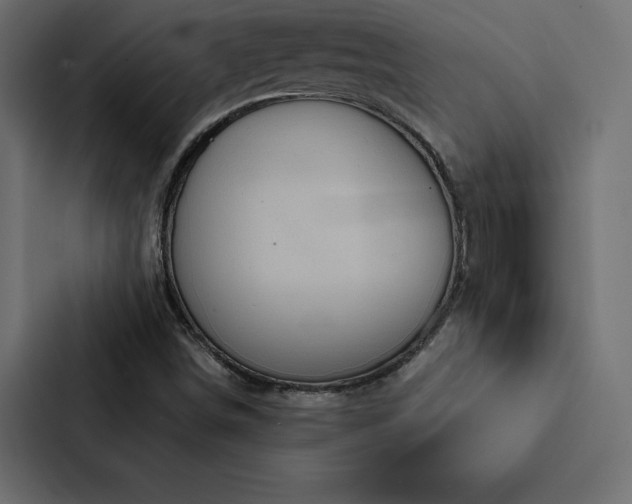 X0000088231498200705151442