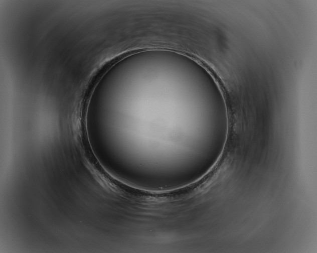 X0000088231499200705151442