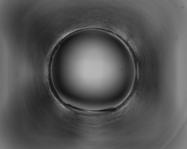 X0000088231500200705151442