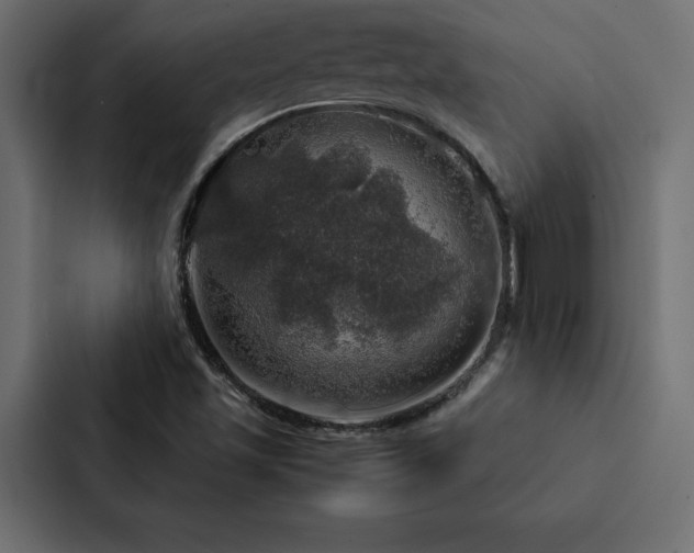 X0000088231501200705151442
