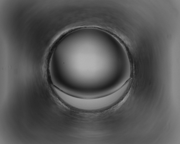 X0000088231502200705151442