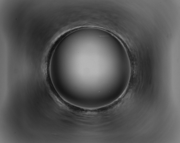 X0000088231503200705151442
