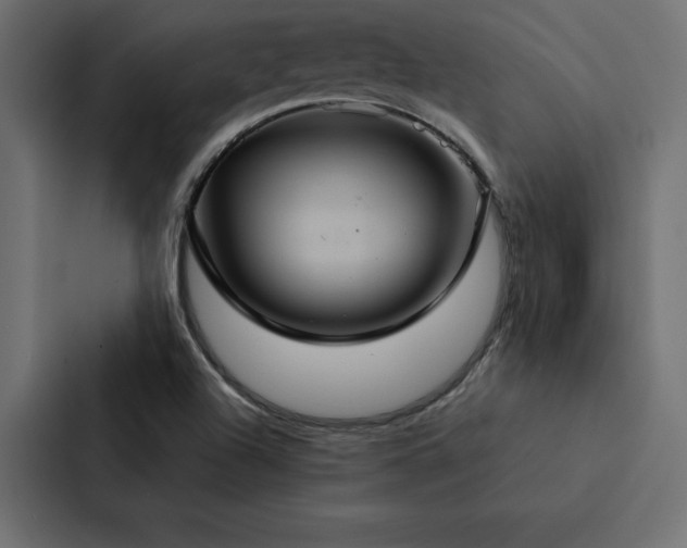 X0000088231504200705151442
